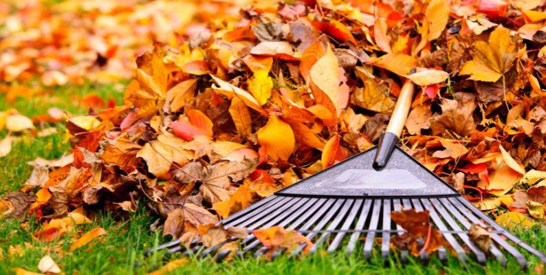 raking leaves for fall cleaning