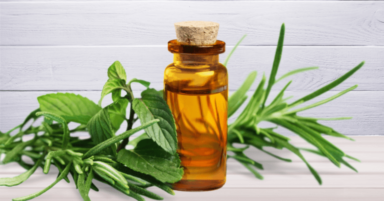 Top 10 Ways to Use Tea Tree Oil for a Healthy and Clean Home