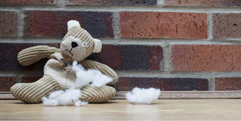 assess the damage to your stuffed animal before washing it