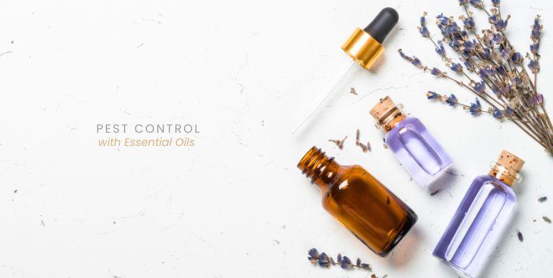 Pest Control with essential oils