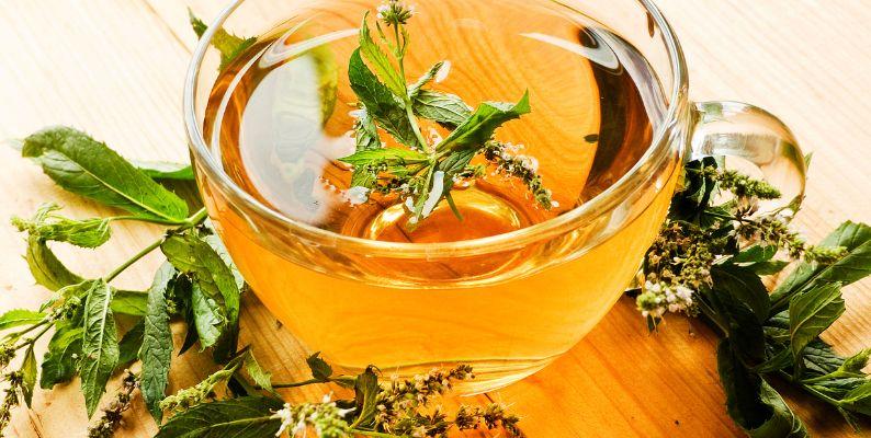 herbal tea infused with peppermint