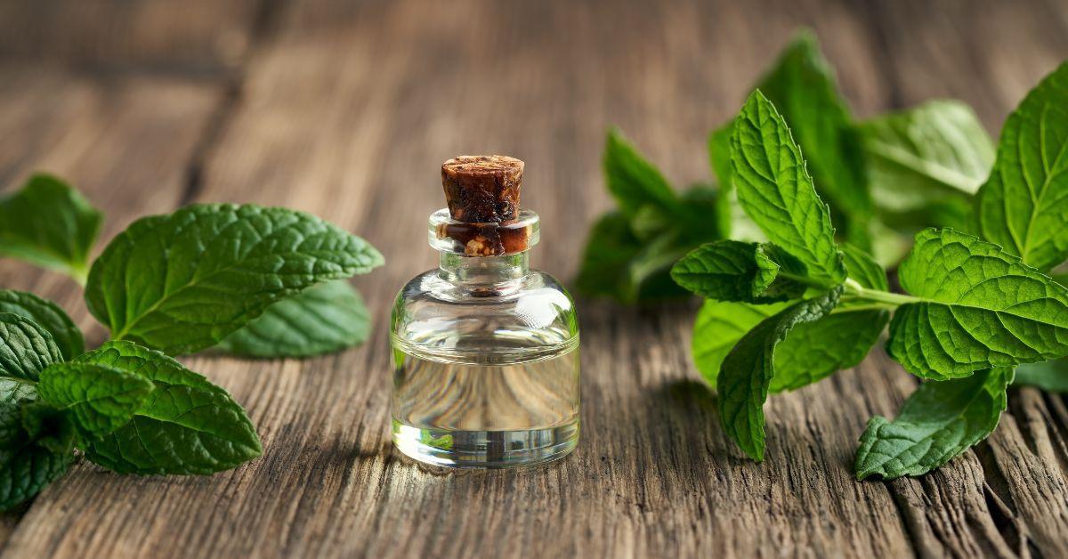 A small, clear glass apothecary vial with a cork stopper containing liquid, sitting on a rustic wooden table top surrounded by fresh green mint leaves, illustrating the natural source of peppermint essential oil.