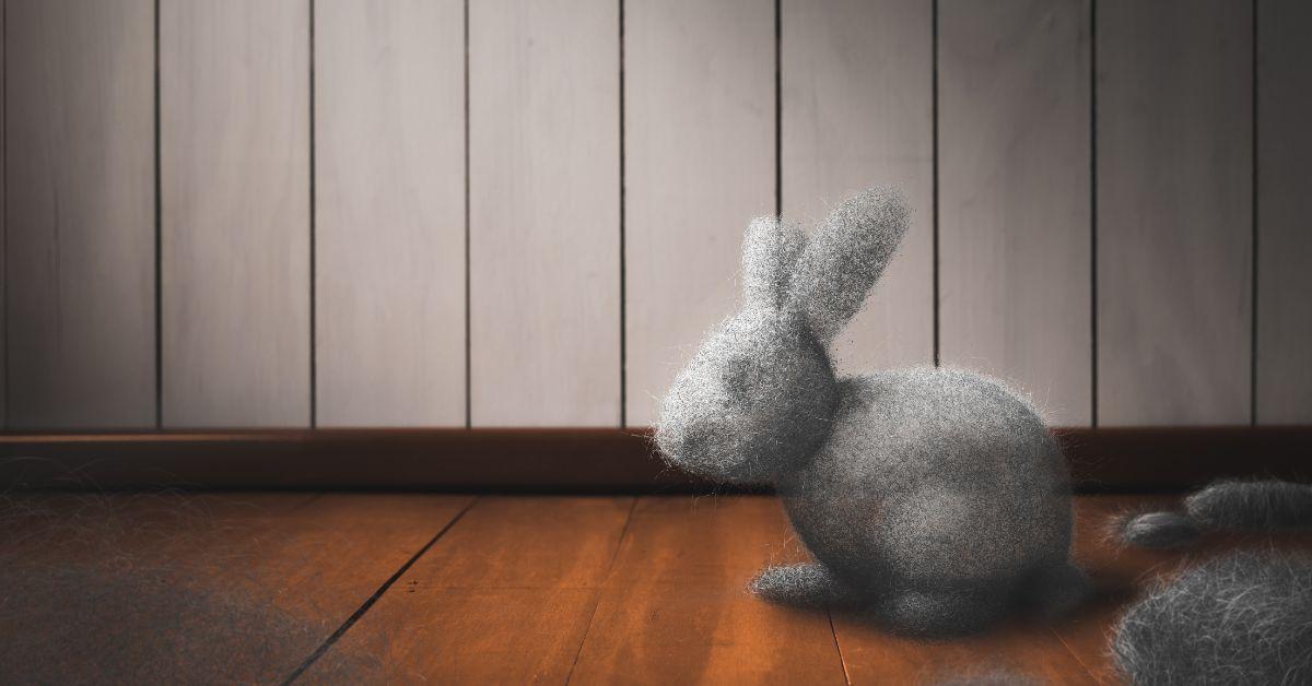 A conceptual sculpture of a rabbit formed entirely out of grey lint and debris sitting on a polished hardwood floor against a white paneled wall, playfully illustrating the accumulation of household dust bunnies.