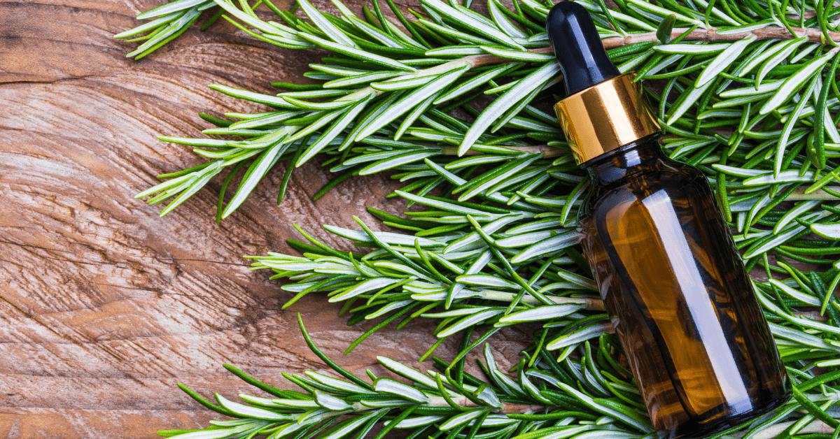 An amber glass dropper bottle with a gold cap resting on a rustic wooden table top surrounded by fresh green rosemary sprigs, symbolizing the herbal ingredients and botanical power of Thieves Essential Oil mixtures.