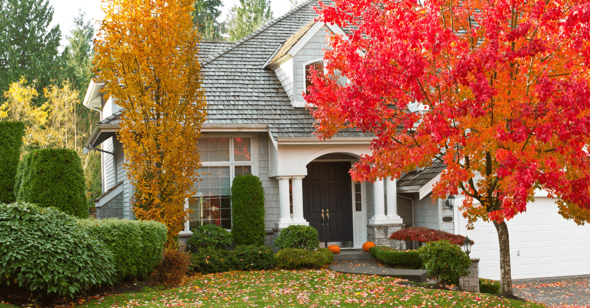 A beautiful two-story residential home on Long Island decorated with pumpkins on the porch steps, framed by brilliant yellow and red autumn trees, representing the perfect time of year to complete a thorough fall house cleaning checklist.