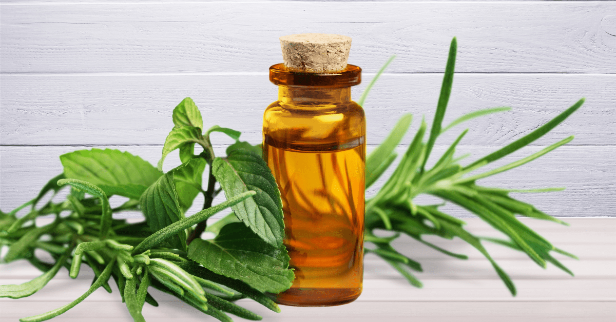 An amber glass vial with a cork stopper containing essential oil, flanked by fresh green mint leaves and rosemary sprigs on a white wooden tabletop, showcasing natural ways to use tea tree oil for eco-friendly home sanitizing.