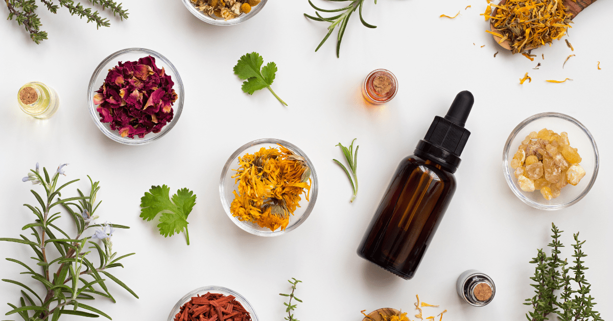 Flat-lay photograph showing various natural ingredients used for home pest control, including glass bowls of dried herbs, lavender, rose petals, and a dark glass dropper bottle of essential oil on a white background.